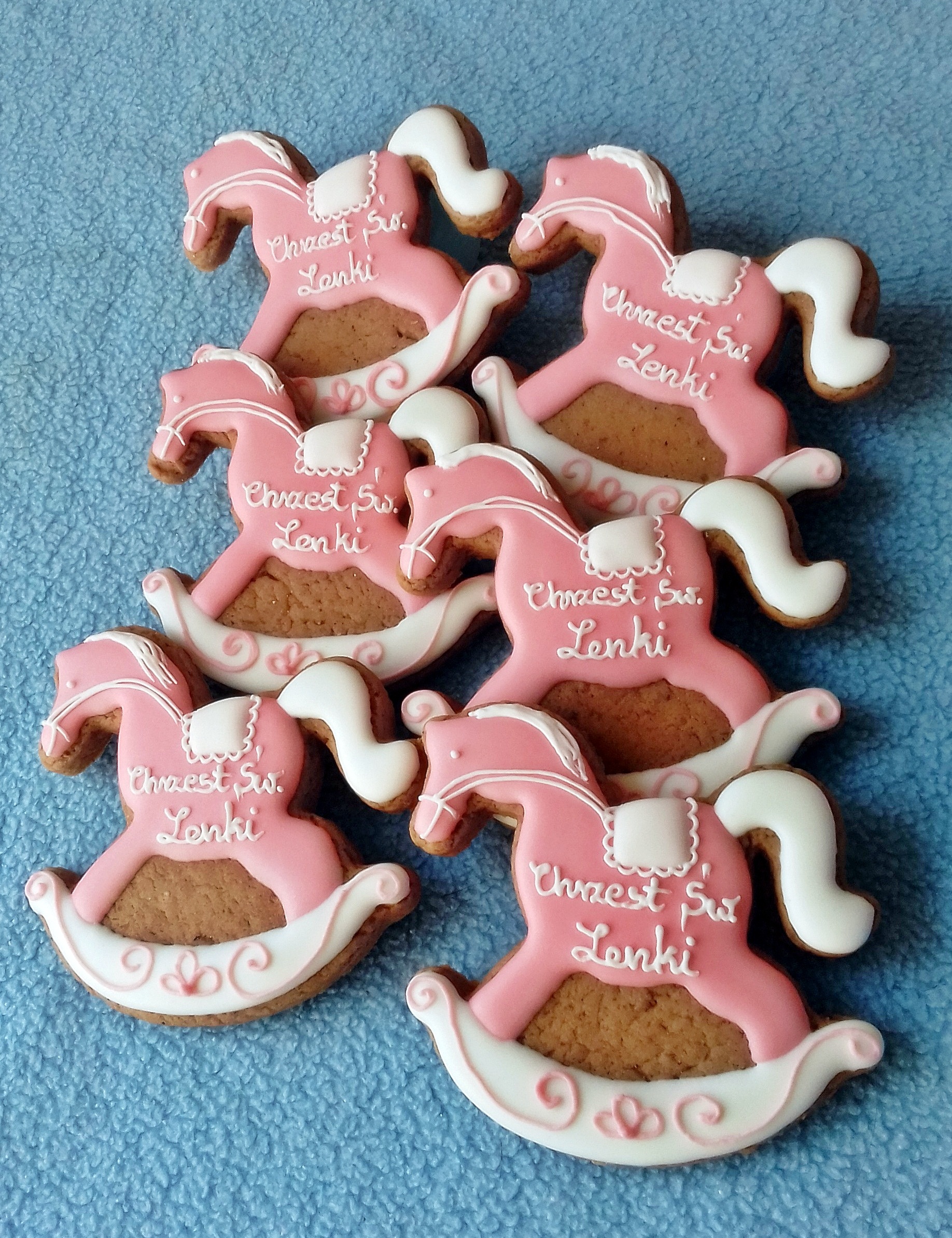 Konik <br> na biegunach